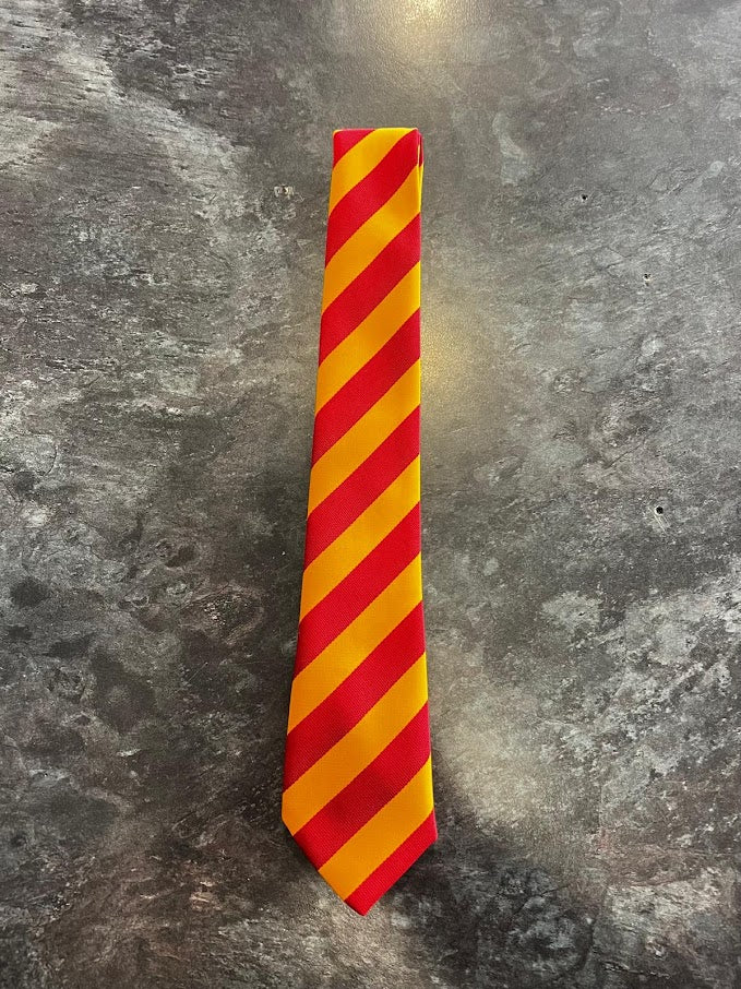 St Brides Year 6 tie